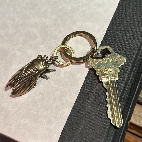 Detailed Solid Brass Cicada Keychain on Solid Brass Split Rings - Picture 8 of 10